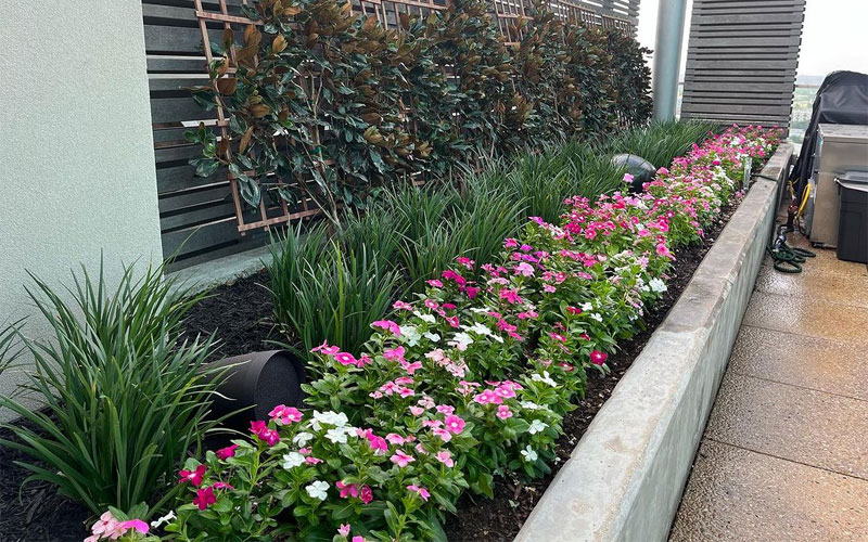 landscaping-1 Flowerbed service for client at the Omni Hotel