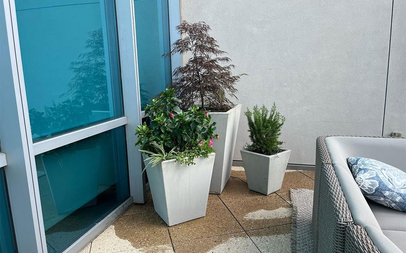 landscaping-2 Concrete flower pot for client at the Omni Hotel