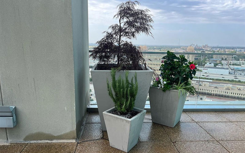 landscaping-3 Concrete flower pot for client at the Omni Hotel