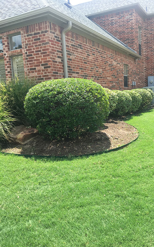 lawn-maintenance-1 Flower bed landscaping for Fort Worth client