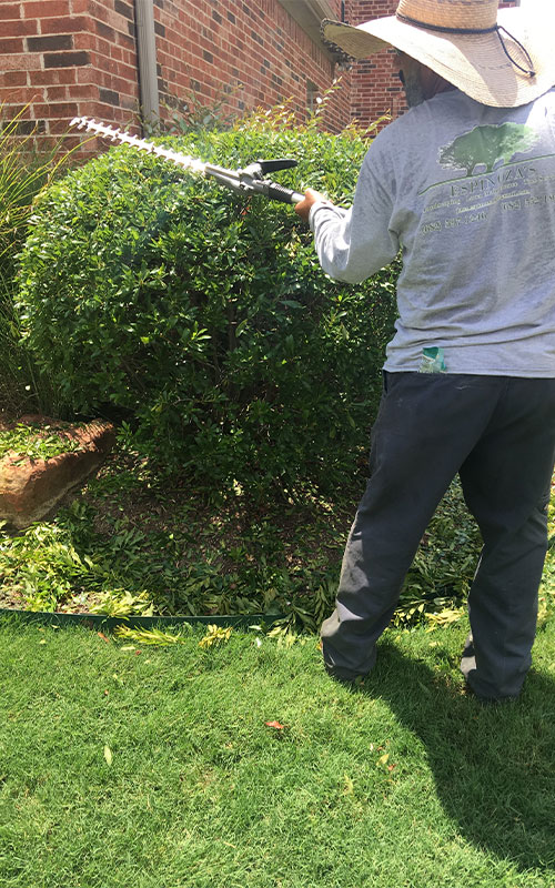 lawn-maintenance-2 Bush trimming for Fort Worth client