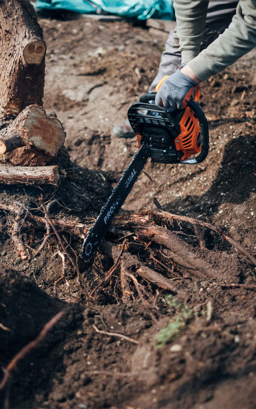 tree-service-1 Man cutting root with chainsaw