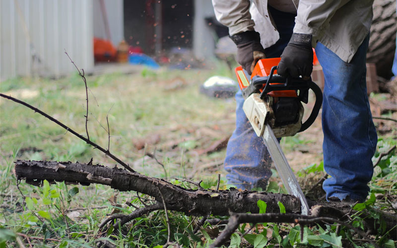 tree-service-2 Man cutting down branches with a chainsaw