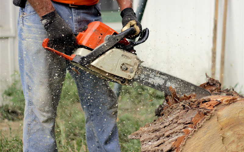 tree-service-3 Man cutting down tree trunk with a chainsaw